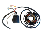 Load image into Gallery viewer, 2004-2009 SHERCO TRIALS REPLACEMENT IGNITION KIT INC. STATOR & CDI UNIT