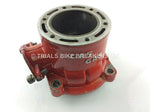 Load image into Gallery viewer, 1994 GAS GAS JT25 250cc CYLINDER BARREL - Trials Bike Breakers UK