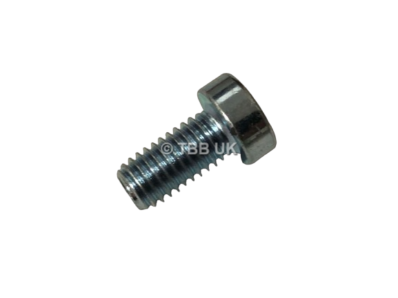 TECH LOWER FORK PINCH BOLT SCREW BZP