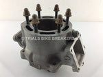 Load image into Gallery viewer, YAMAHA TYZ250 SCORPA SY250 CYLINDER BARREL - Trials Bike Breakers UK

