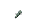 Load image into Gallery viewer, AJP/ BRAKTEC M6 X 1.00 BLEED NIPPLE
