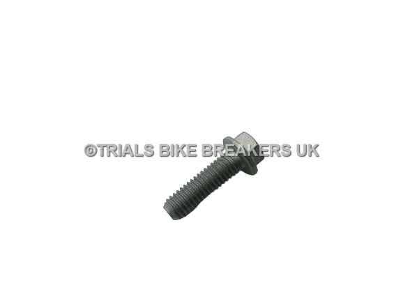 DAB PRODUCTS GAS GAS TRS SHERCO VERTIGO FRONT DISC BOLT