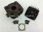 Load image into Gallery viewer, BETA MINI TRIAL CYLINDER BARREL &amp; HEAD - Trials Bike Breakers UK
